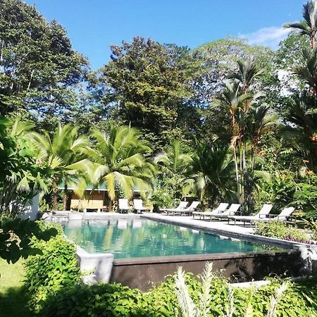 Passion Fruit Lodge Cahuita Exterior photo