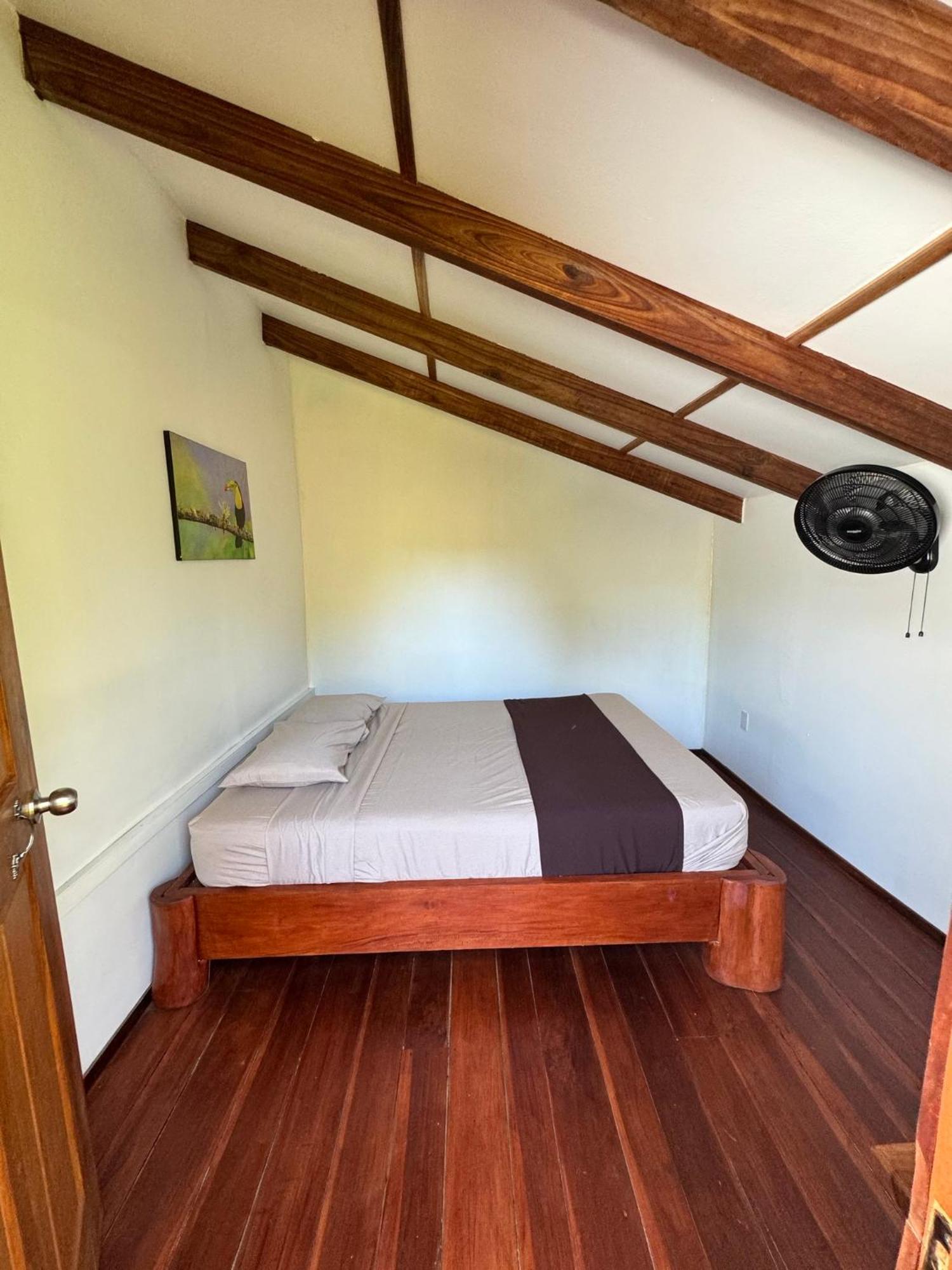 Passion Fruit Lodge Cahuita Exterior photo