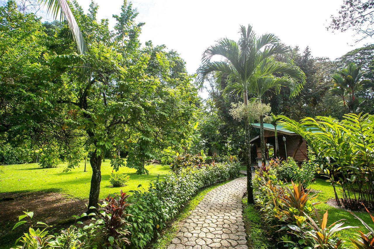 Passion Fruit Lodge Cahuita Exterior photo