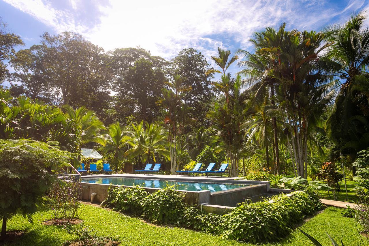 Passion Fruit Lodge Cahuita Exterior photo