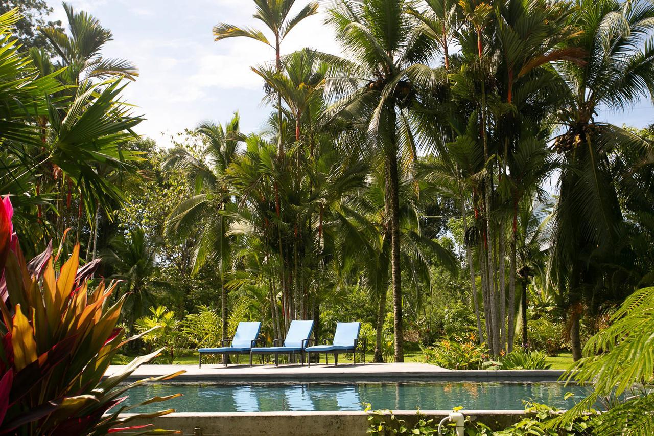 Passion Fruit Lodge Cahuita Exterior photo