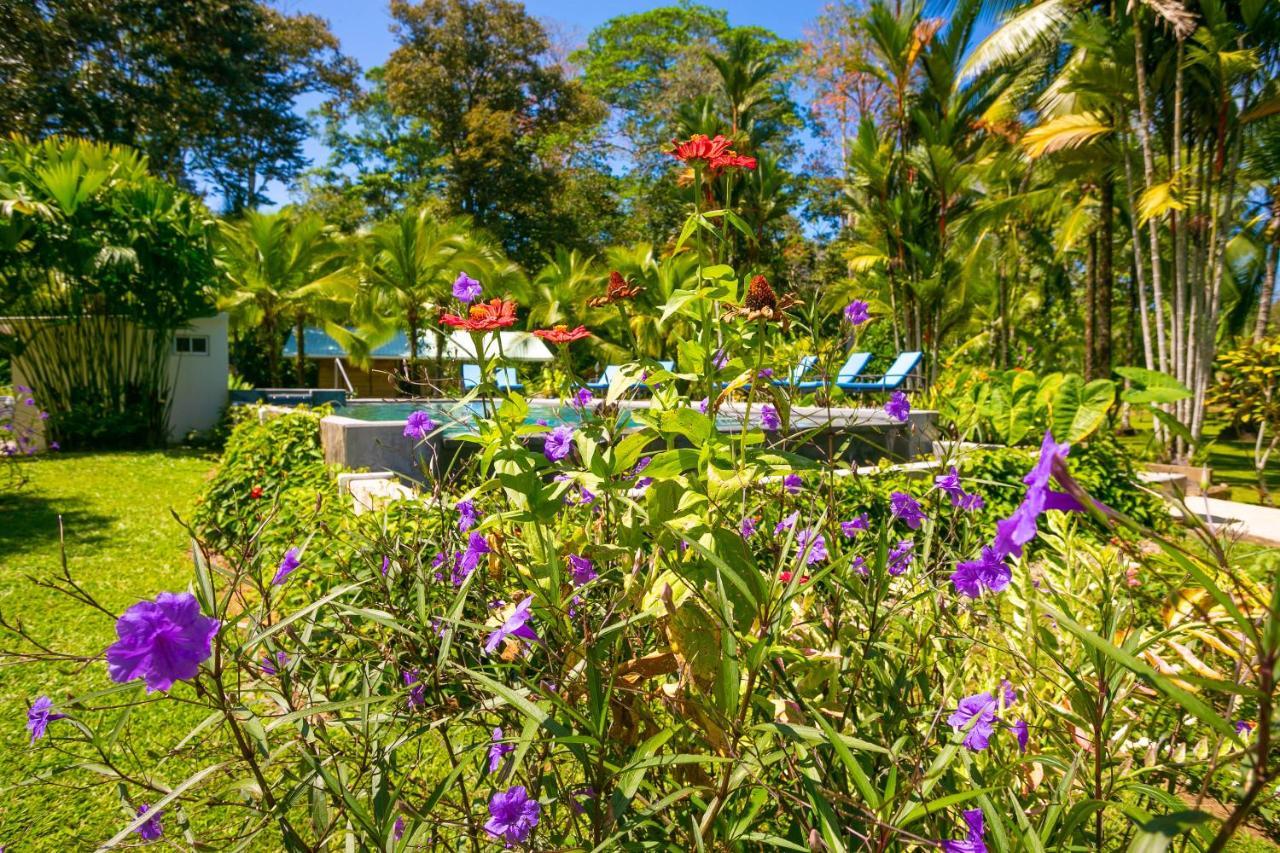 Passion Fruit Lodge Cahuita Exterior photo
